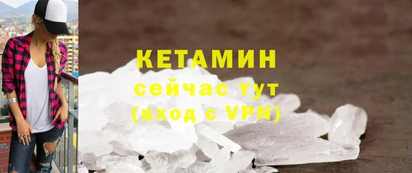 гашик Ельня