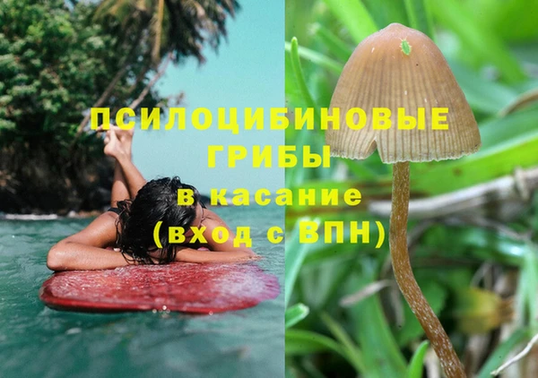 героин Алзамай
