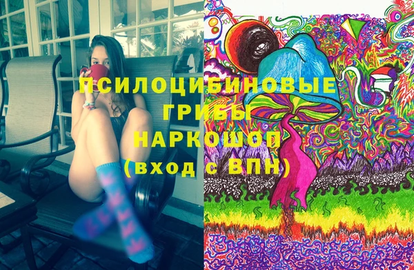 твердый Алексин