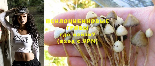 твердый Алексин