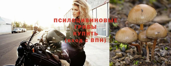 гидропоника Алексеевка