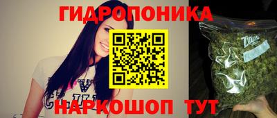 a pvp Тулун