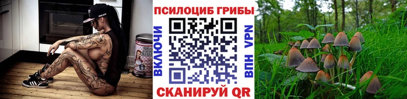 Псилоцибиновые грибы MAGIC MUSHROOMS Южно-Сахалинск